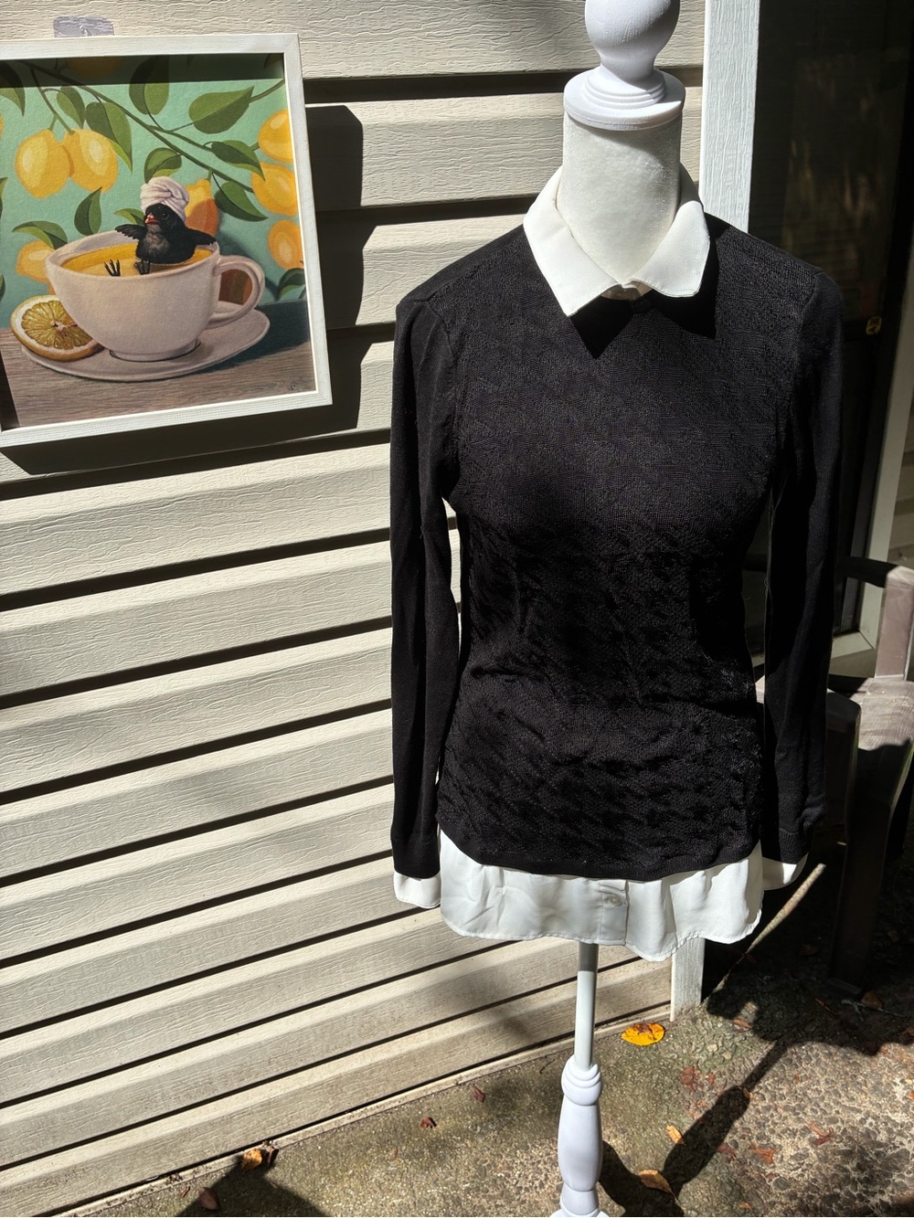 Women’s Black Layered-Look Long Sleeve Top with White Collar